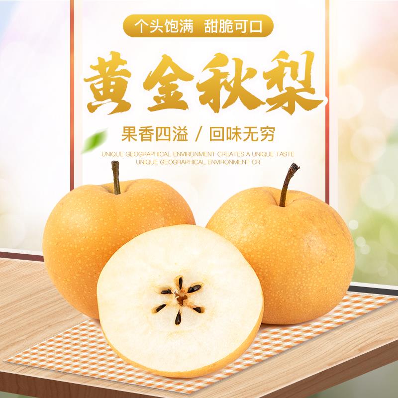 元旦特惠 黃金秋梨 500g